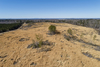 Dry Valley Rd, Lincoln, AL, 35096