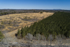 Dry Valley Rd, Lincoln, AL, 35096