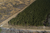 Dry Valley Rd, Lincoln, AL, 35096