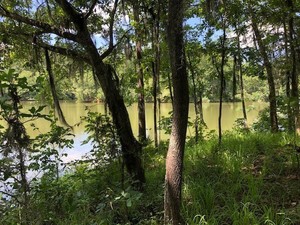 Fisherman's Bay, Lowndsboro, AL, 36752