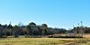 Saddlebrook Dr., Montgomery, AL, 36110