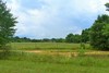 Saddlebrook Dr., Montgomery, AL, 36110