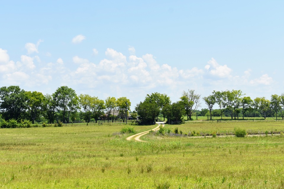 Montgomery