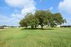 3007 N Navarro St, Victoria, TX, 77901
