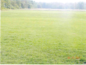 3726 South Park Aveune, Blasdell, NY, 14219