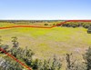 Thonotosassa Road, Dover, FL, 33527