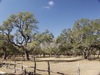 2780 Bulverde Road, Bulverde, TX, 78163