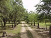 2780 Bulverde Road, Bulverde, TX, 78163