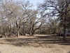 2780 Bulverde Road, Bulverde, TX, 78163