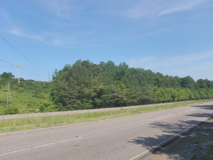 1230 Minor Parkway, Birmingham, AL, 35224