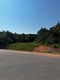 40 Acres Exit 168 I-20, Lincoln, AL, 35096