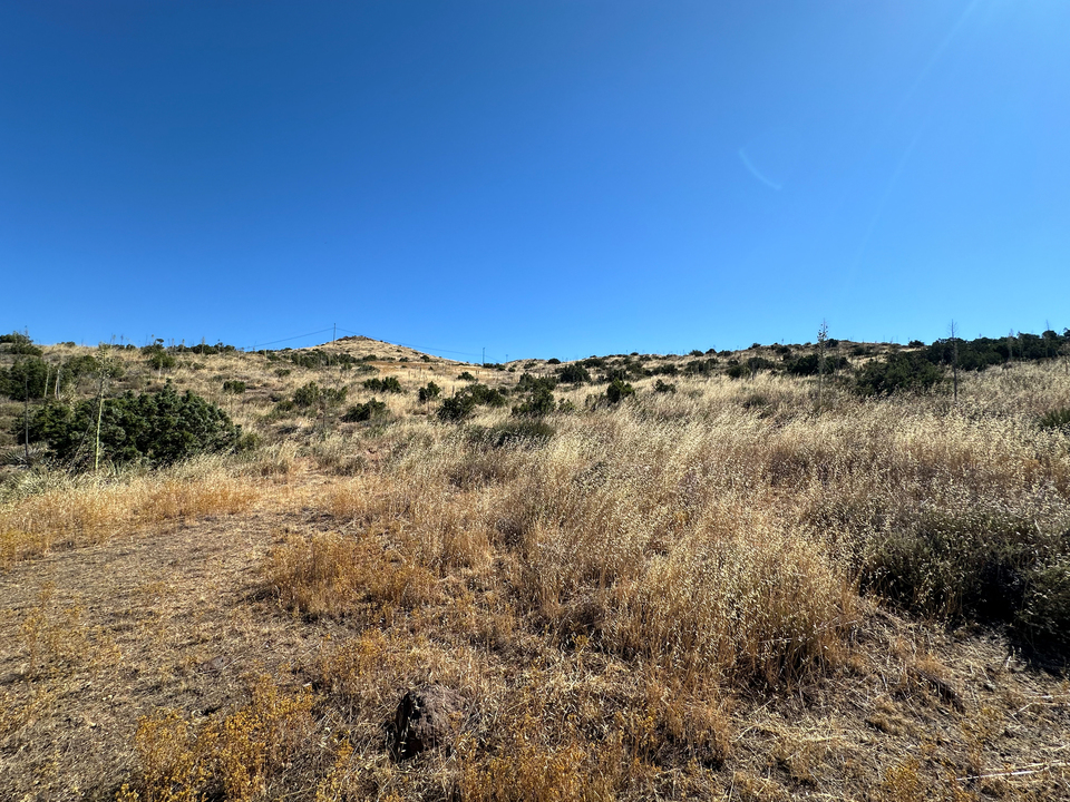 135.22 Acres Big Springs Road , Agua Dulce, CA, 91350