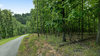 Esculapia Hollow Rd, Rogers, AR, 72756