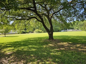 3049 Richies Way, Mount Pleasant, SC, 29464