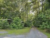 3049 Richies Way, Mount Pleasant, SC, 29464