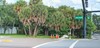 1225 1st St E, Bradenton, FL, 34208