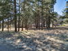 7000 N. Hwy 89, Flagstaff, AZ, 86004