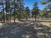 7000 N. Hwy 89, Flagstaff, AZ, 86004