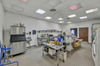14558 Ellsworth Rd, Berlin Center, OH, 44401