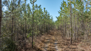 James Noble Rd, Greenville, FL, 32331