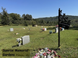 4386 Buzbee Road, Pinson, AL, 35126