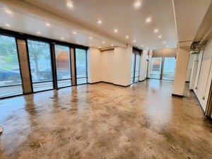 511 W Division, Chicago, IL, 60610