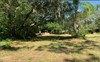 6501 Gant Rd, Tampa, FL, 33625