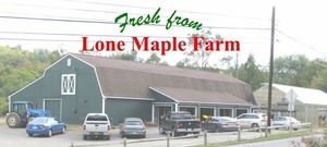 2001 Hawleyton Rd, Binghamton, NY, 13903