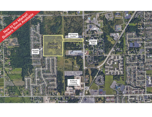 43.2 +/- Acres Telegraph, Brownstown Township, MI, 48174