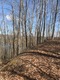 Marsh Road, Smithville, TN, 37166