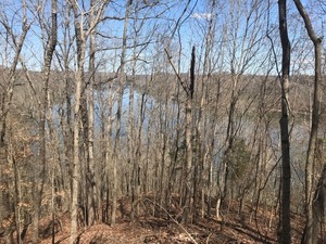 Marsh Road, Smithville, TN, 37166