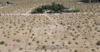 40667 Summerset Road, Newberry Springs, CA, 92365