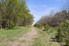 11592 62nd St NW, Ray, ND, 58849