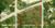 30 S Oleander Street, Fellsmere, FL, 32948