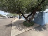 506 E Camelback Rd, Phoenix, AZ, 85012