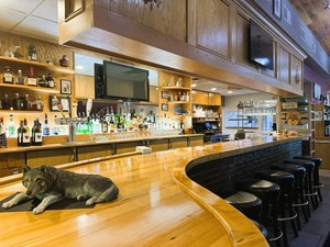 20400 E Austin Rd, Manchester, MI, 48158