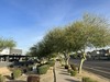 1830, 1840, 1850 N 95th Ave, Phoenix, AZ, 85037