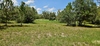 Mammoth Grove Rd, Lake Wales, FL, 33898