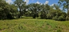 Mammoth Grove Rd, Lake Wales, FL, 33898