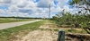 Lake Park Rd, Lake Wales, FL, 33898