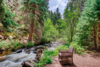 3083 - 3303 Chicago Creek Road, Idaho Springs, CO, 80452