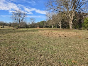 Monterey Spur Road, Forest Home, AL, 36030