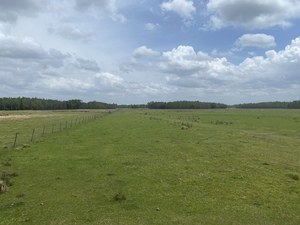 Rockridge Rd, Lakeland, FL, 33809