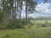Rockridge Rd, Lakeland, FL, 33809