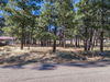 7000 N. Hwy 89, Flagstaff, AZ, 86004