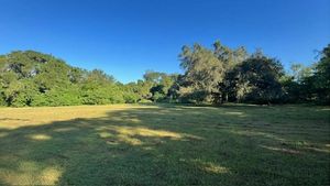 4806 N Falkenburg Rd, Tampa, FL, 33610