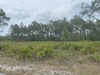 Rockridge Rd, Lakeland, FL, 33809