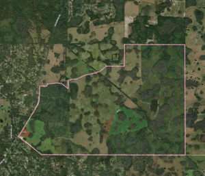 Rockridge Rd, Lakeland, FL, 33809