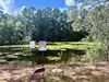 1760 South Ln, Mandeville, LA, 70471