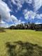 1029 Van Dyke Rd, Lutz, FL, 33548